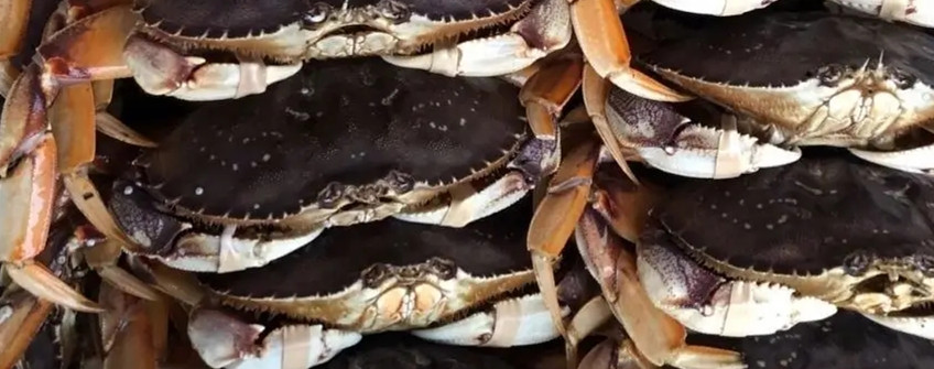 水产入口：海鲜入口从香港中转内地怎样清关？？？？？