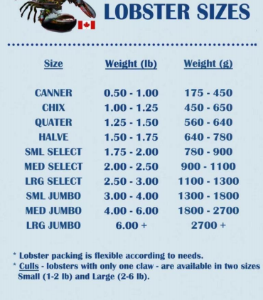 betway体育·(必威)官方网站