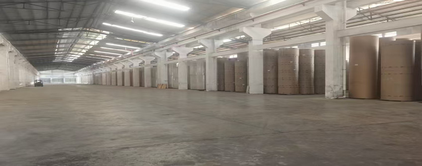 澳洲新闻纸入口深圳3天到厂？？？betway体育清关0延误+0破损，，，，，，，，印刷厂老板直呼“省5万”！