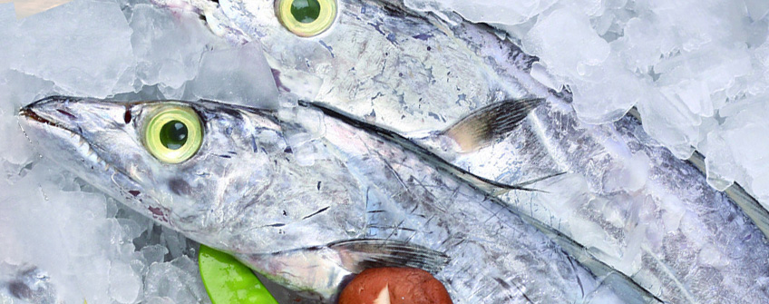 冻带鱼入口报关注重事项？？？