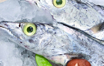 冻带鱼入口报关注重事项？？？？？？