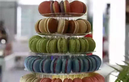 冻柜食物出口海运加拿大署理