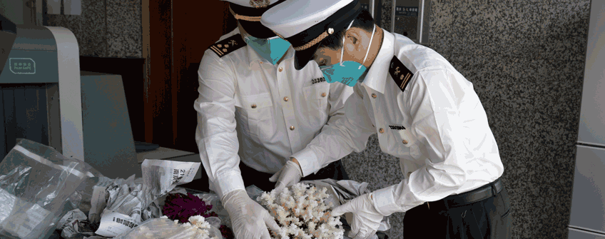 怎样区分香港入口报关和香港入口清关