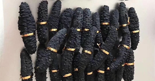 水产品报关：干海参入口清关流程手续