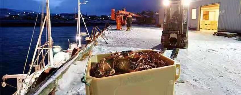 外洋活海鲜入口广州可以清关吗？？？？