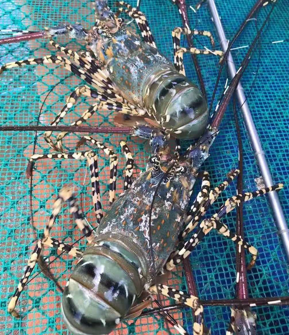 betway体育·(必威)官方网站