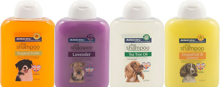 深圳入口报关：宠物沐浴露清关用度有哪些？？？？？？？？